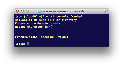 freebsd console on kvm