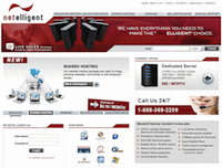 netelligent