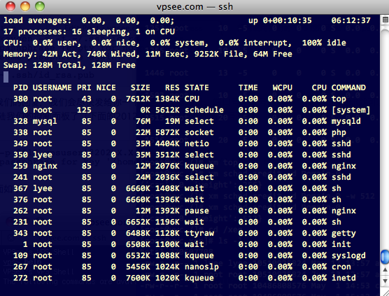 netbsd vps