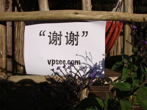 thank you from vpsee.com